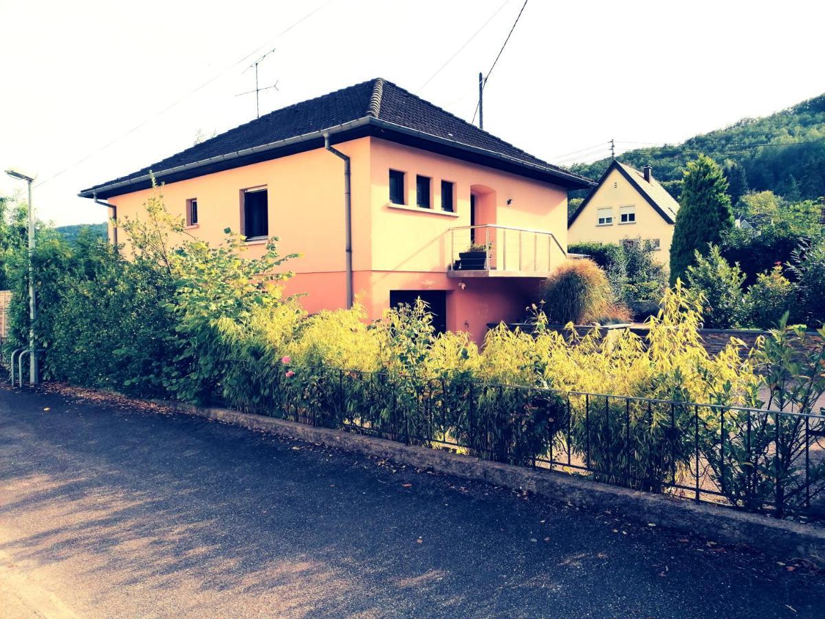 Apartment Le Ptit Lou